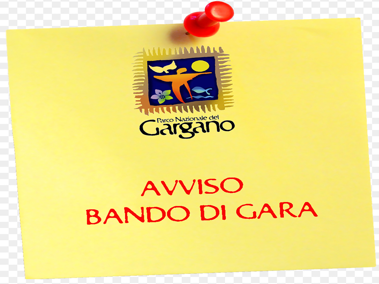 BANDO DI GARA LAVORI REALIZZAZIONE PISTA CICLOPEDONALE ISOLA VARANO