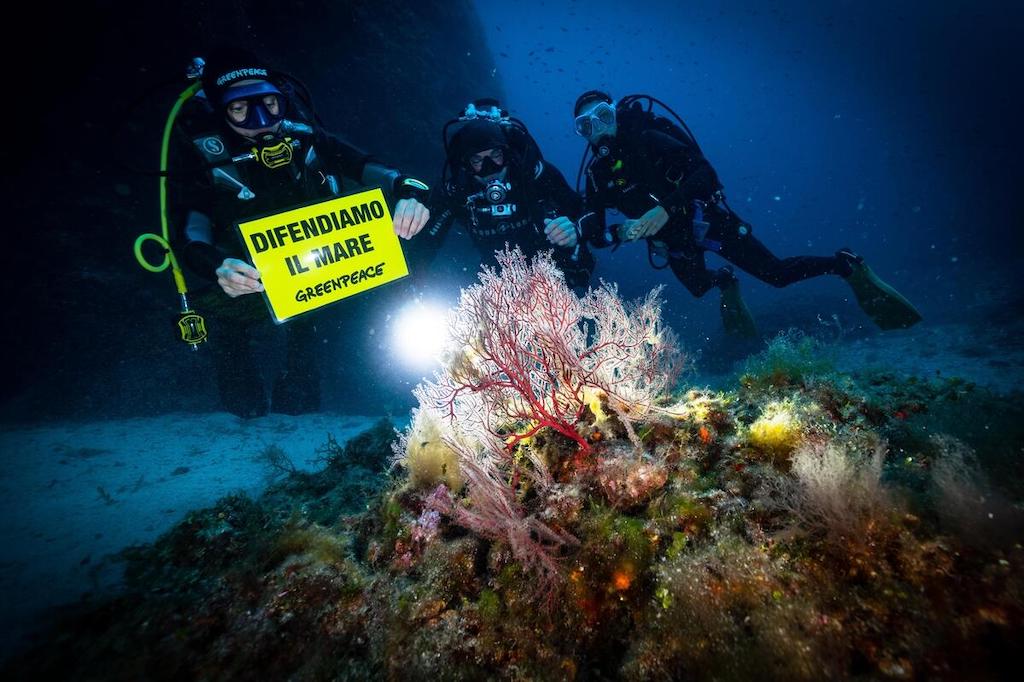 Il Parco rinnova la partecipazione a Mare Caldo di Greenpeace
