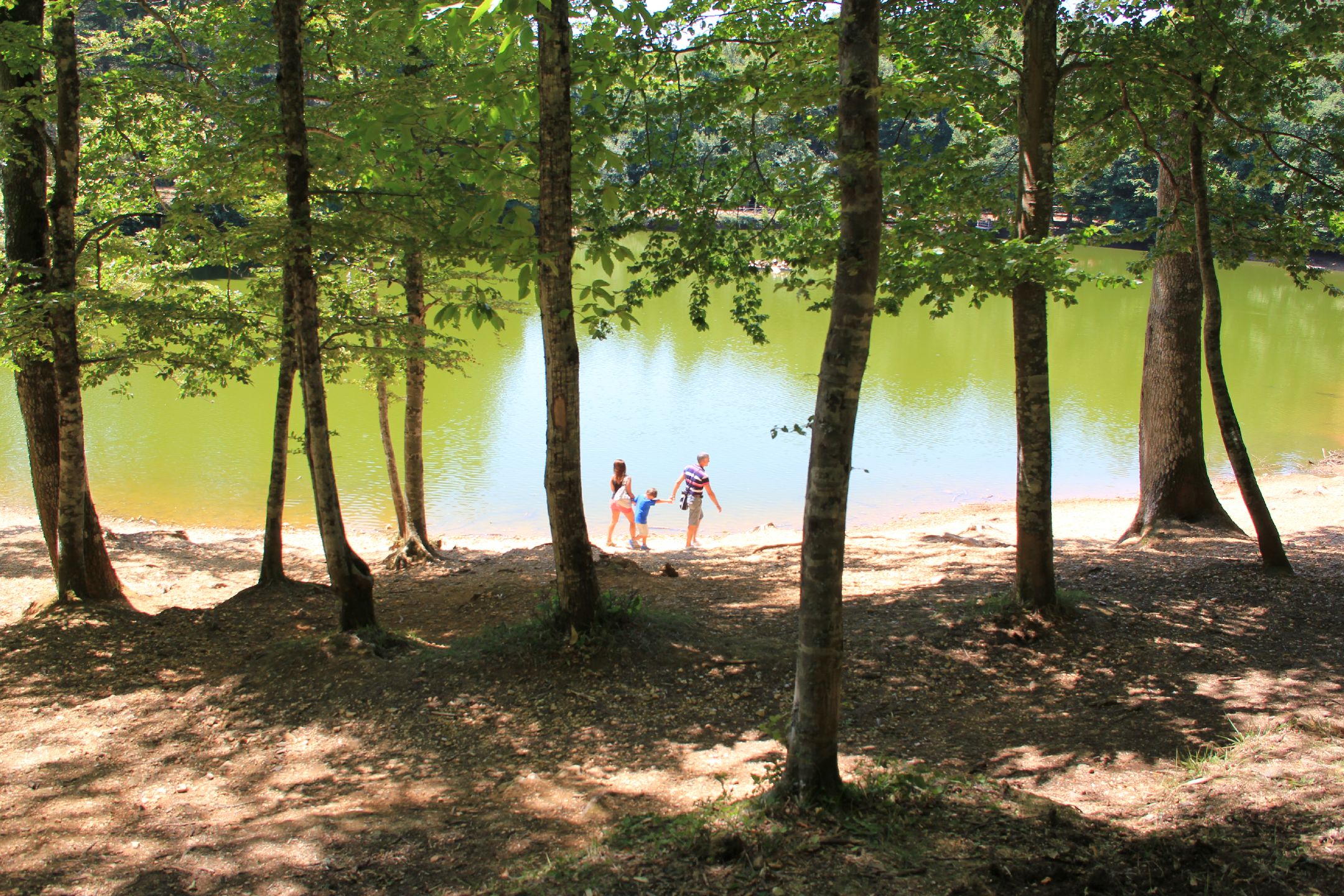 Al via il Progetto “Siti Naturali Unesco e ZEA per l’educazione ambientale” attivato dall’Ente parco