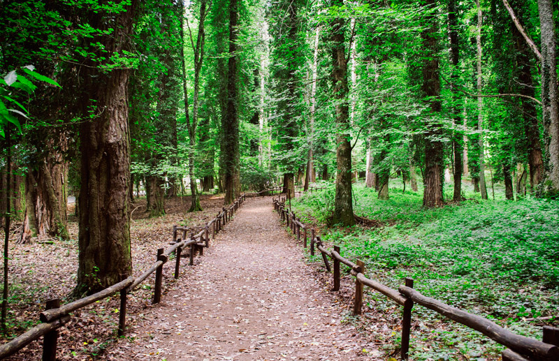 221mila euro per interventi sui Siti Naturali Unesco