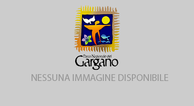 Caserma Caritate