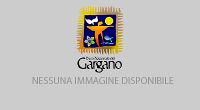 Avviso pubblico per individuazione direttore Ente parco nazionale del Gargano