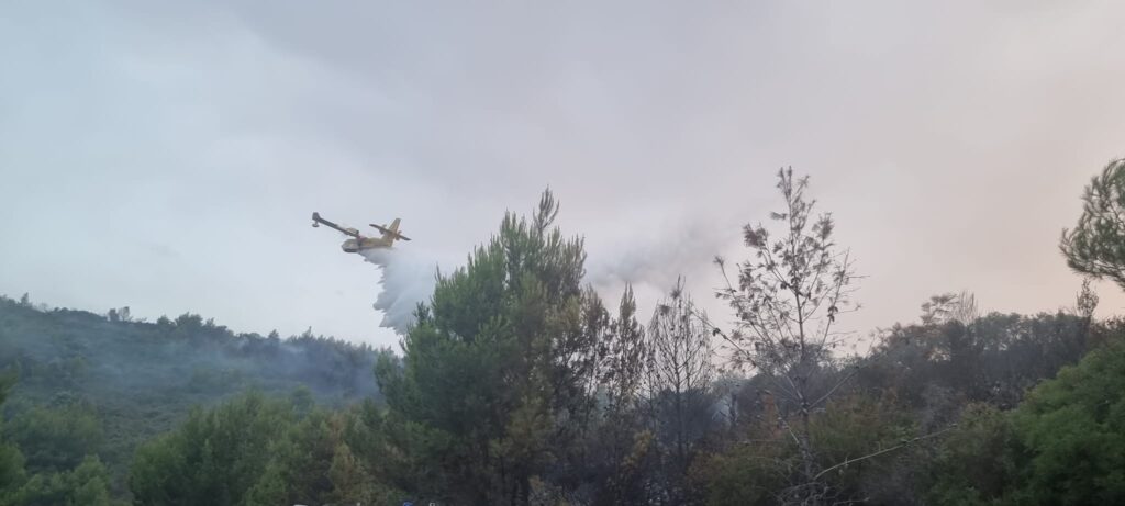 L’Ente parco nazionale del Gargano esprime vicinanza alle comunità colpite dagli incendi e dura condanna contro questi atti criminali