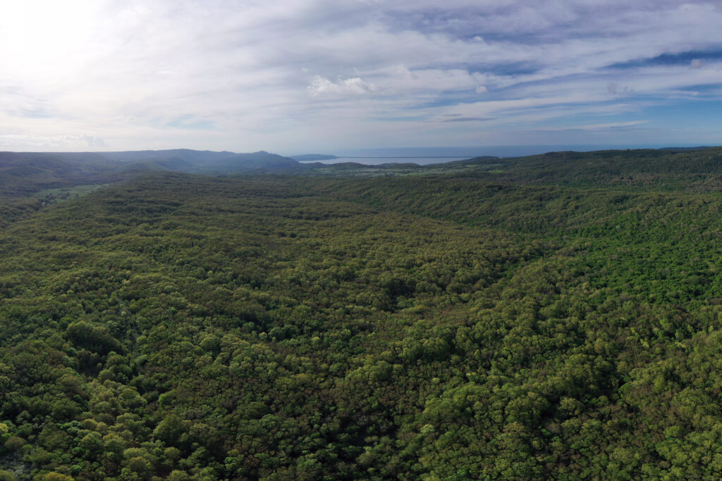 Parco Gargano per il Clima: Il Ministero dell’Ambiente finanzia i progetti dell’Ente parco nazionale del Gargano per un importo complessivo di € 3.018.762,00