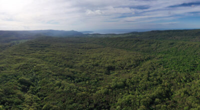 Parco Gargano per il Clima: Il Ministero dell’Ambiente finanzia i progetti dell’Ente parco nazionale del Gargano per un importo complessivo di € 3.018.762,00