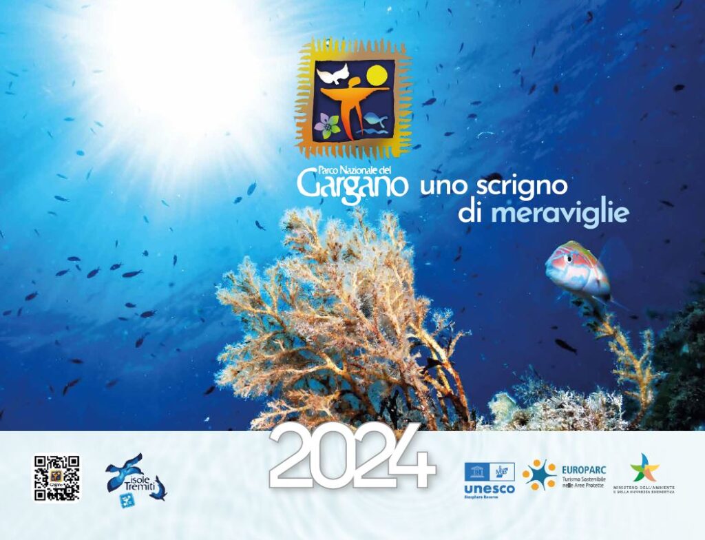 Parco nazionale del Gargano. . . uno scrigno di meraviglie – Calendario 2024