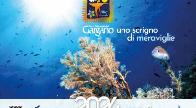 Parco nazionale del Gargano. . . uno scrigno di meraviglie – Calendario 2024