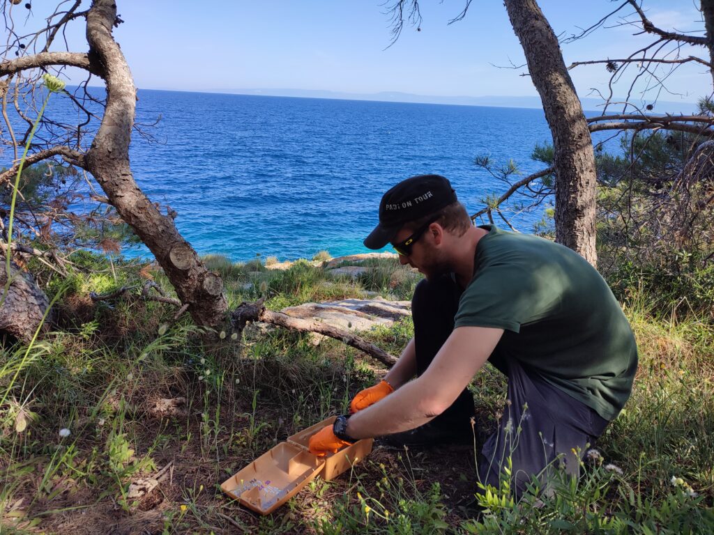 Eradicato il ratto nero alle Isole Tremiti grazie agli interventi nell’ambito del progetto Life Diomedee di cui l’Ente parco è soggetto beneficiario coordinatore