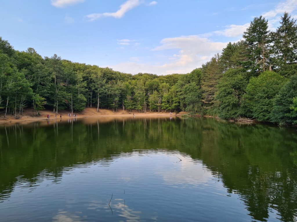 Interventi sul patrimonio forestale: l’Ente parco si aggiudica oltre 5 milioni di euro