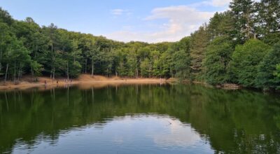 Interventi sul patrimonio forestale: l’Ente parco si aggiudica oltre 5 milioni di euro