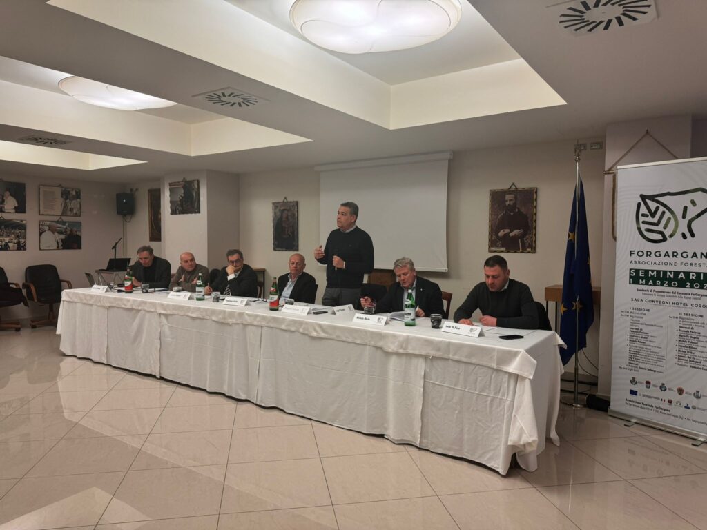 Nasce ForGargano l’associazione per la gestione forestale sostenibile promossa dall’Ente parco nazionale del Gargano presentata a San Giovanni Rotondo